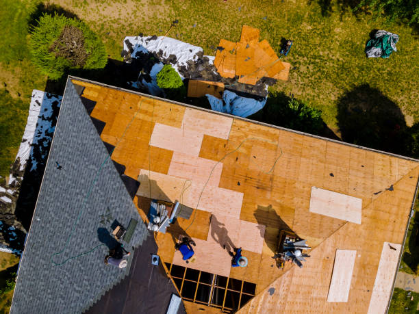 Best Storm Damage Roof Repair  in Gravette, AR